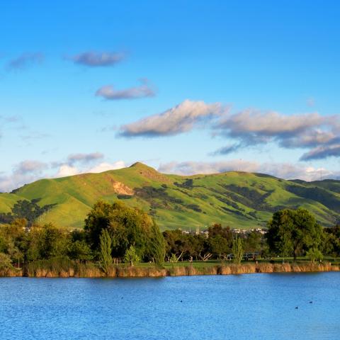 Fremont, CA