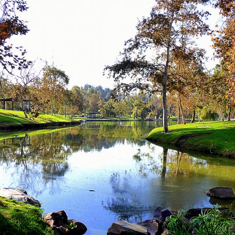 Fullerton, CA