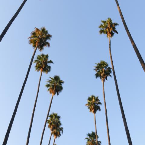 San Fernando, CA