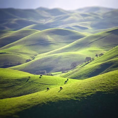 San Ramon, CA