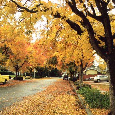 Sunnyvale, CA